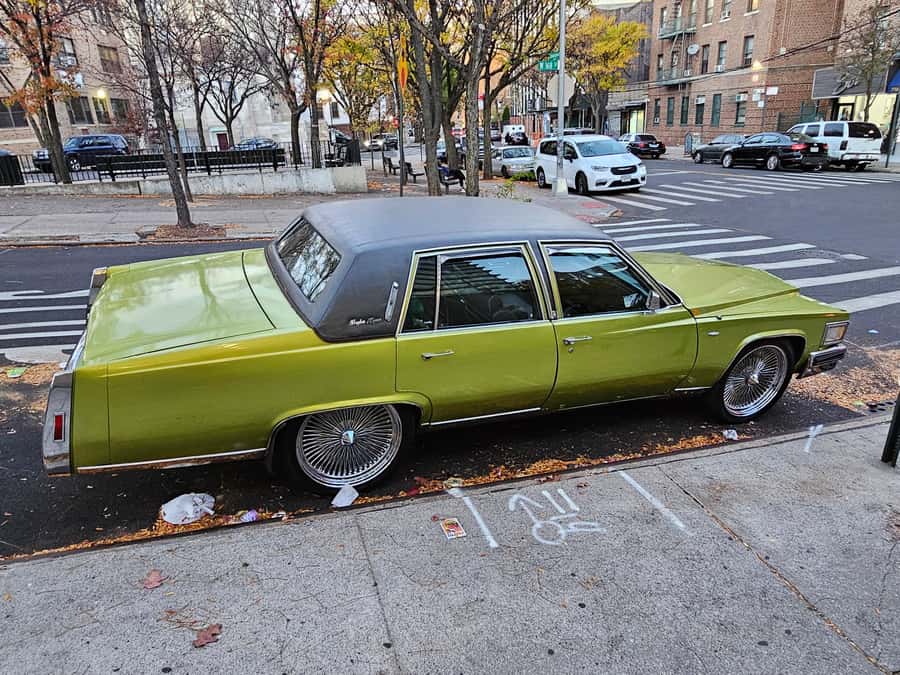 New York: Hip-Hop, Murals, Sports, and Dangerous Neighborhoods Tour - Yankee Stadium and the Joker stairs: sports photos with attitude