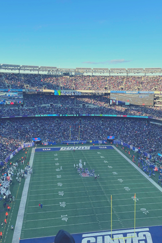 New York: New York Giants Football Game Ticket - Picking the right seat category: budget vs regular vs premium