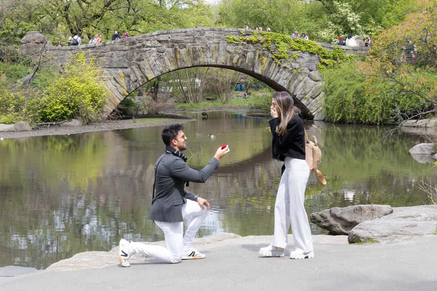 New York: Photoshoot in NYC Central Park 5th Ave - 5th Avenue photo stops: fashion-block glamour with real posing help