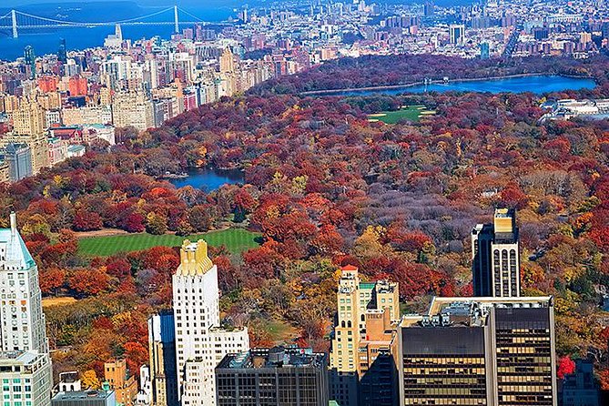 New York Tour by Subway and Bus with Private Guide - Meeting up at 9:00am with pickup anywhere in Manhattan