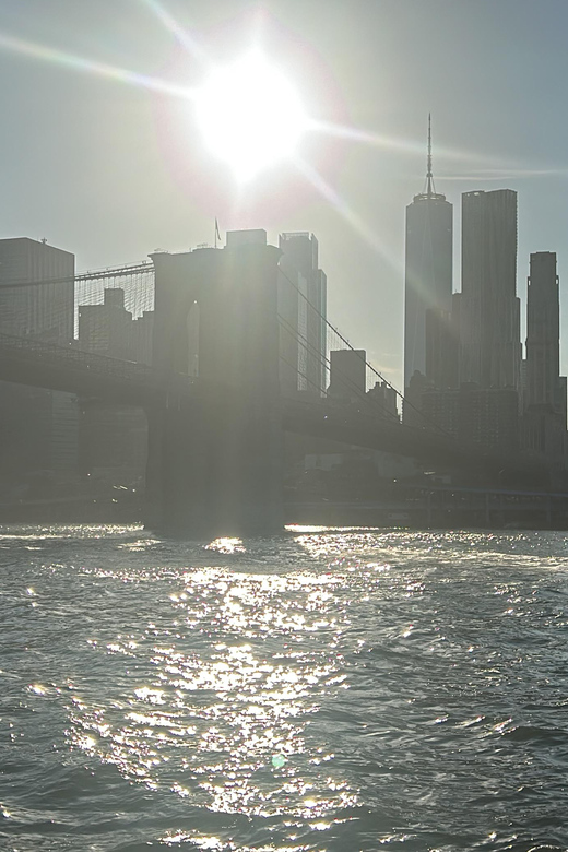 NYC: Brooklyn Bridge and DUMBO Tour with East River Ferry - Jane’s Carousel: a short stop that makes the walk feel human