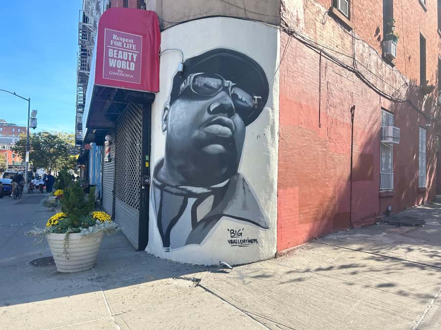 NYC, Brooklyn: Notorious Biggie Smalls Themed Walking Tour - Stop 1: Biggie’s high school and the idea of a public school era