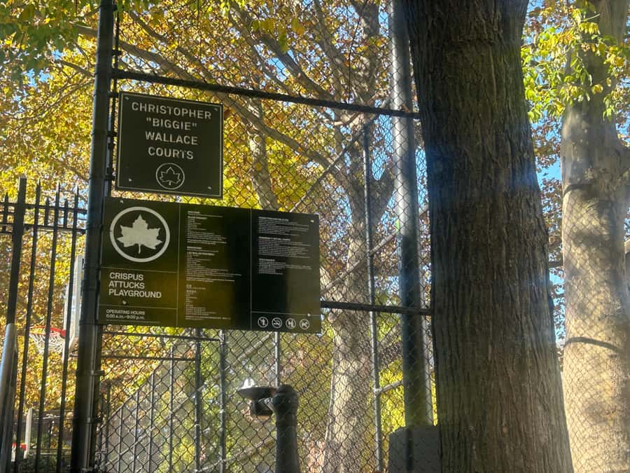 NYC, Brooklyn: Notorious Biggie Smalls Themed Walking Tour - Fort Greene and Clinton Hill: storefronts, murals, and lyric-linked corners