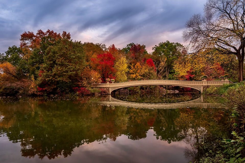 NYC: Central Park Christmas Lights Horse-Drawn Carriage Ride - Key Takeaways Before You Go