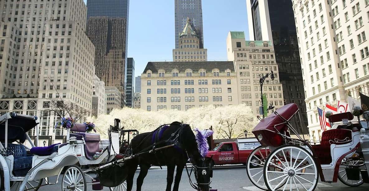 NYC: Central Park Christmas Lights Horse-Drawn Carriage Ride - Where You Meet and How the Ride Starts on Time