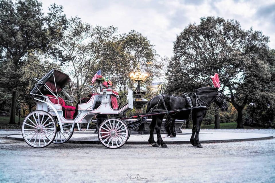 NYC: Central Park Christmas Lights Horse-Drawn Carriage Ride - Should You Book This Central Park Christmas Lights Ride?