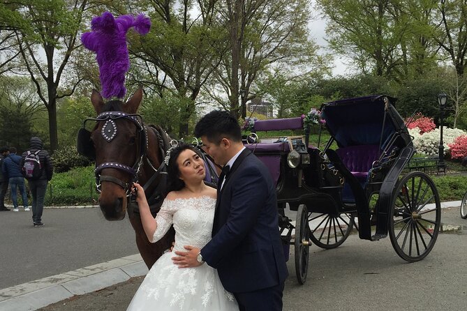 NYC Central Park Horse and Carriage Ride: Long Ride 45 min - Central Park’s Carousel, Rink, and the “southwest return” feel