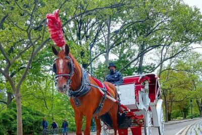NYC Central Park Horse and Carriage Ride: Long Ride 45 min - The best landmark run: Carousel to Bethesda Terrace and the Lennon trail