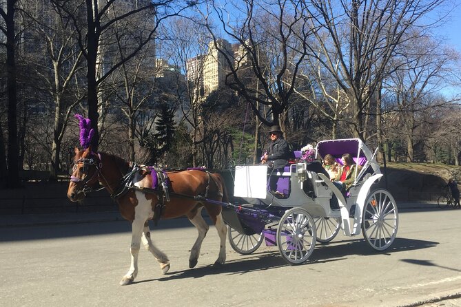NYC Central Park Horse and Carriage Ride: Long Ride 45 min - The included lake photo stop: how to make it count