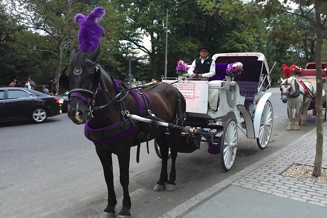 NYC Central Park Horse and Carriage Ride: Long Ride 45 min - Why the driver matters: pace, trivia, and stopping for photos