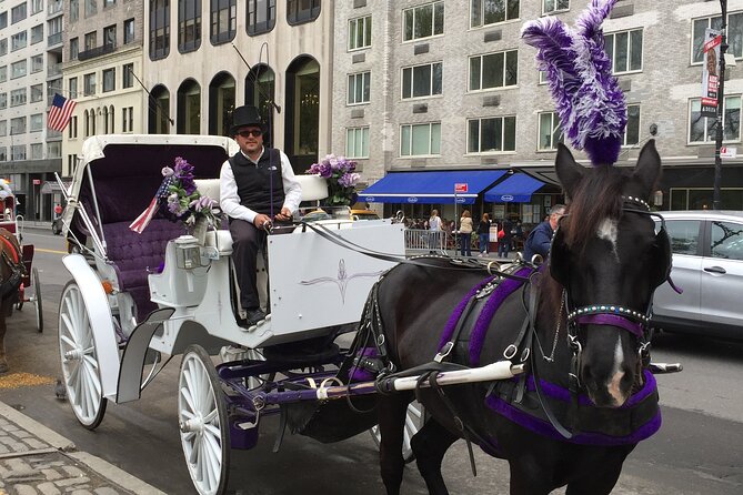 NYC Central Park Horse and Carriage Ride: Long Ride 45 min - Price and value: when this ride is worth it