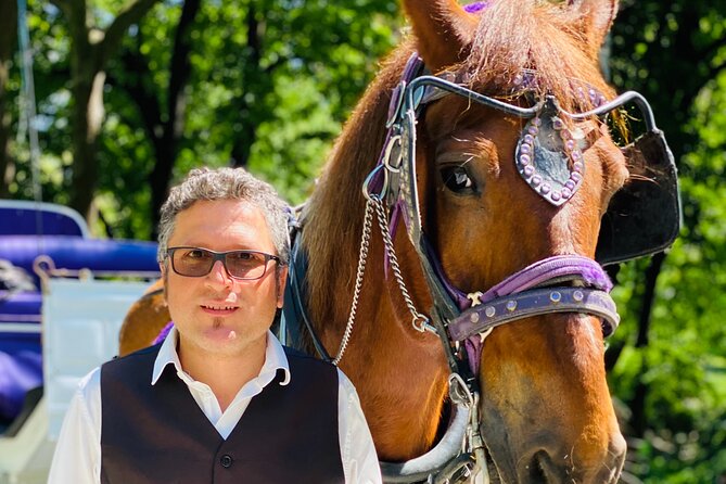 NYC Central Park Horse and Carriage Ride: Long Ride 45 min - Weather, timing, and what to wear