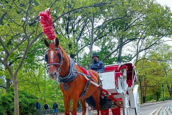 NYC Central Park Horse and Carriage Ride: Long Ride 45 min - The best landmark run: Carousel to Bethesda Terrace and the Lennon trail