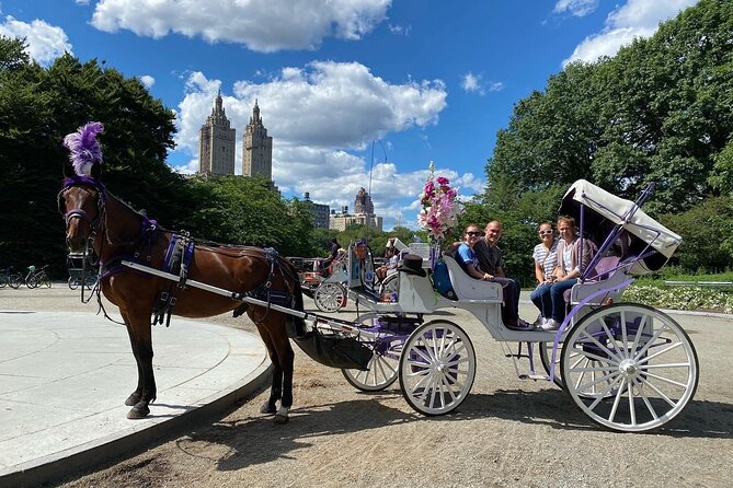 NYC Central Park Horse Carriage Rides (Winter sale) - Getting Off To A Smooth Start At 7th Ave & W 59th St