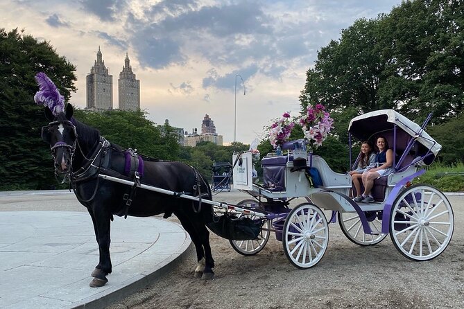 NYC Central Park Horse Carriage Rides (Winter sale) - Warm Blankets, Carrots, And The Comfort Factor