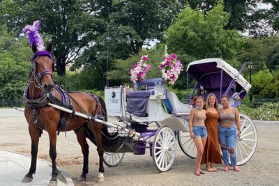 NYC Central Park Horse Carriage Rides (Winter sale) - How The 45-Minute Winter Carriage Ride Actually Feels
