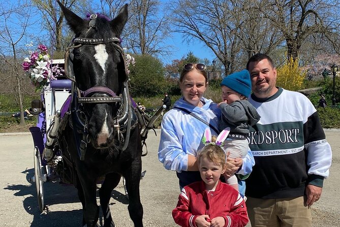 NYC Central Park Horse Carriage Rides (Winter sale) - Cherry Hill Photo Stop: The Park’s Fairytale Edge