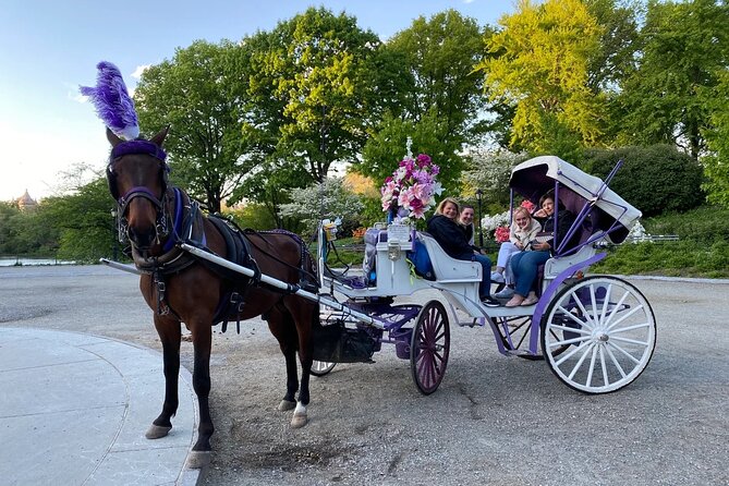 NYC Central Park Horse Carriage Rides (Winter sale) - Movie And TV Location Spotting (And Why It Matters)