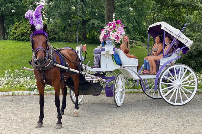 NYC Central Park Horse Carriage Rides (Winter sale) - Carriage Capacity And Who This Works Best For