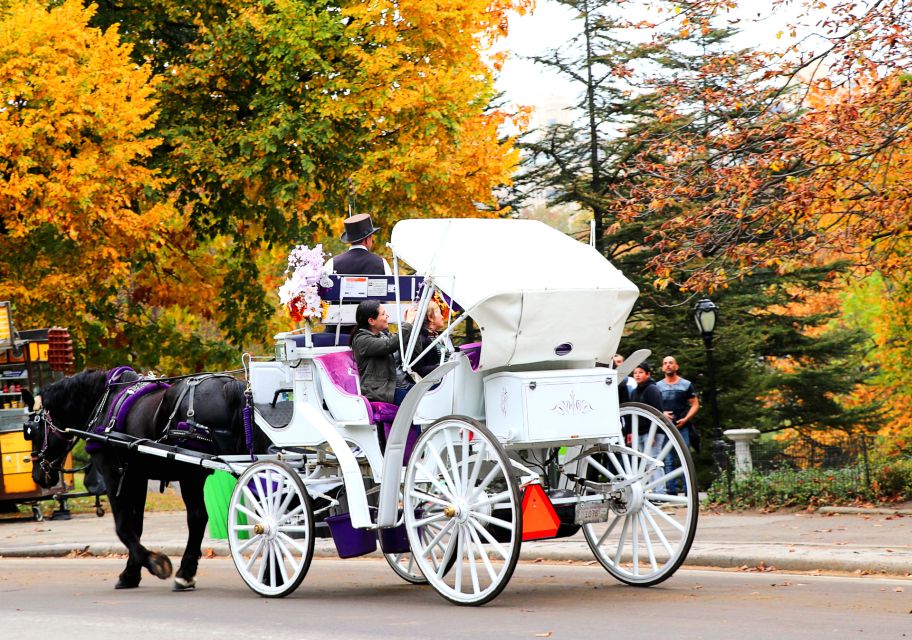 NYC: Central Park Horse-Drawn Carriage Ride (up to 4 Adults) - Key things you’ll notice on this ride