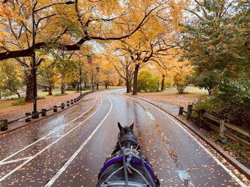 NYC: Central Park Horse-Drawn Carriage Ride (up to 4 Adults) - Shakespeare, the Dairy, and the Carousel Horses: Small Stops With Big Story Payoff