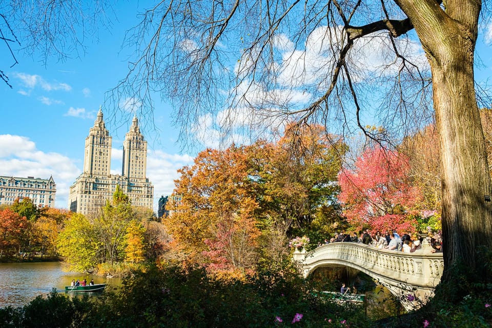 NYC: Central Park Pedicab Tour with Photo Stops - Stop 3: Wollman Rink photo stop and best-use tips