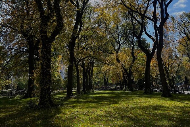 NYC Central Park Pedicab Tours - Bethesda Fountain and The Mall: The Walk That Feels Like a Movie Set