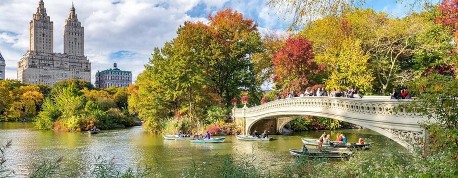 NYC: Central Park Private Tour - Why a motorized pedicab makes Central Park easier
