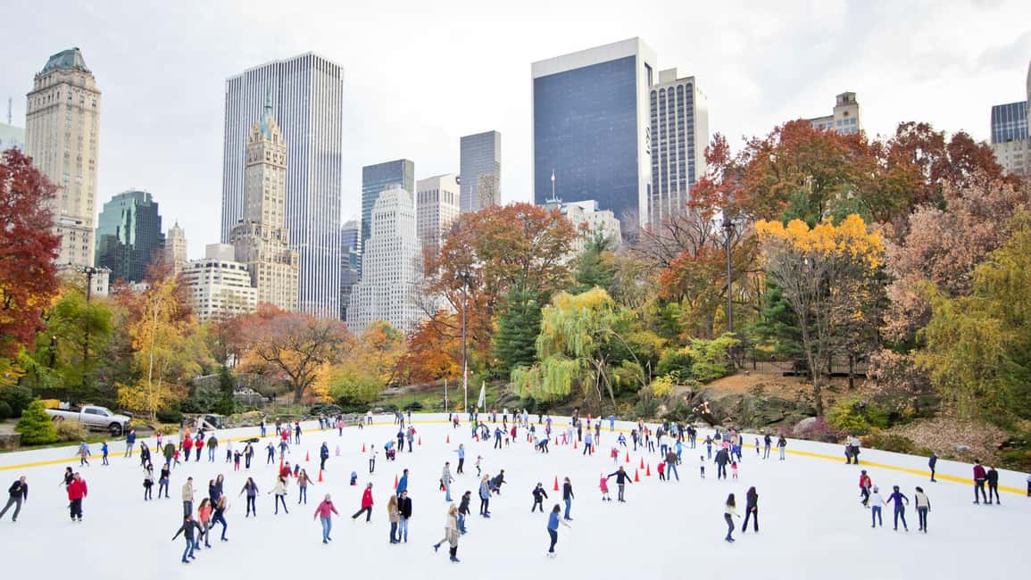 NYC: Central Park Private Tour - Photo stops: how the professional shot fits into the day