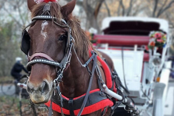 NYC Central Park & Rockefeller Center Private Horse Carriage Tour - Price and logistics: is $195 per group good value?