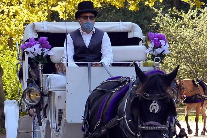 NYC Central Park VIP Horse and Carriage Ride - Why a VIP Carriage Ride Works So Well in Central Park