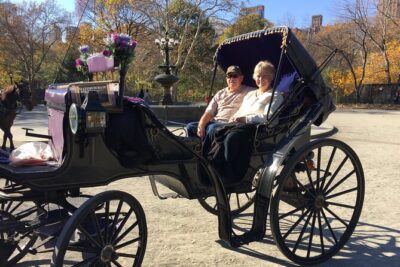 NYC Central Park VIP Horse and Carriage Ride - Natural History Museum Moment: Start Strong at the Park’s Big Icons