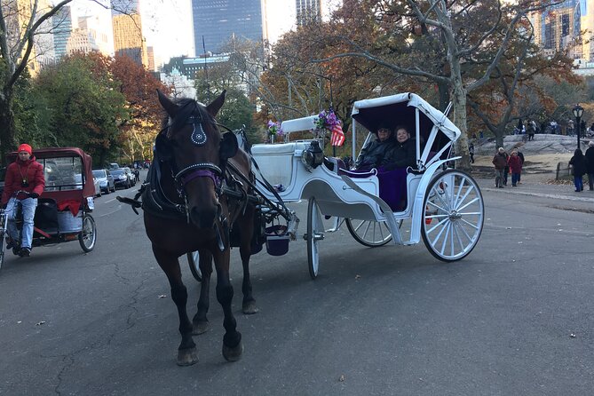 NYC Central Park VIP Horse and Carriage Ride - Bethesda Terrace and the Lake: The View That Feels Like a Set