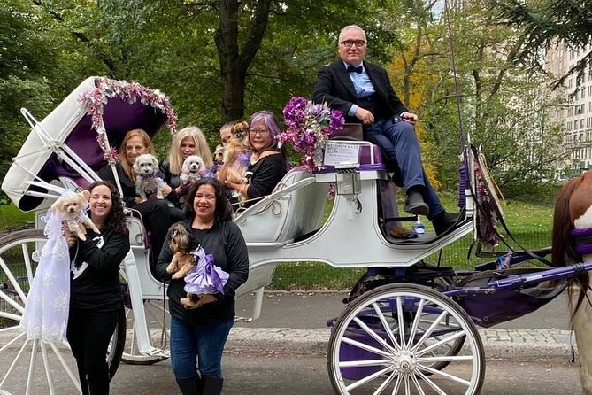 NYC Central Park VIP Horse and Carriage Ride - The Dakota Apartments: Central Park Meets Midtown Storylines