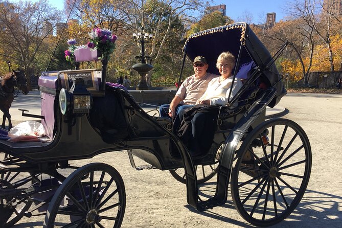 NYC Central Park VIP Horse and Carriage Ride - Natural History Museum Moment: Start Strong at the Park’s Big Icons