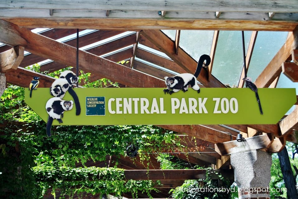 NYC: Central Park Zoo Entry Ticket & Manhattan Walking Tour - What to bring (and what to skip) so the day feels easy