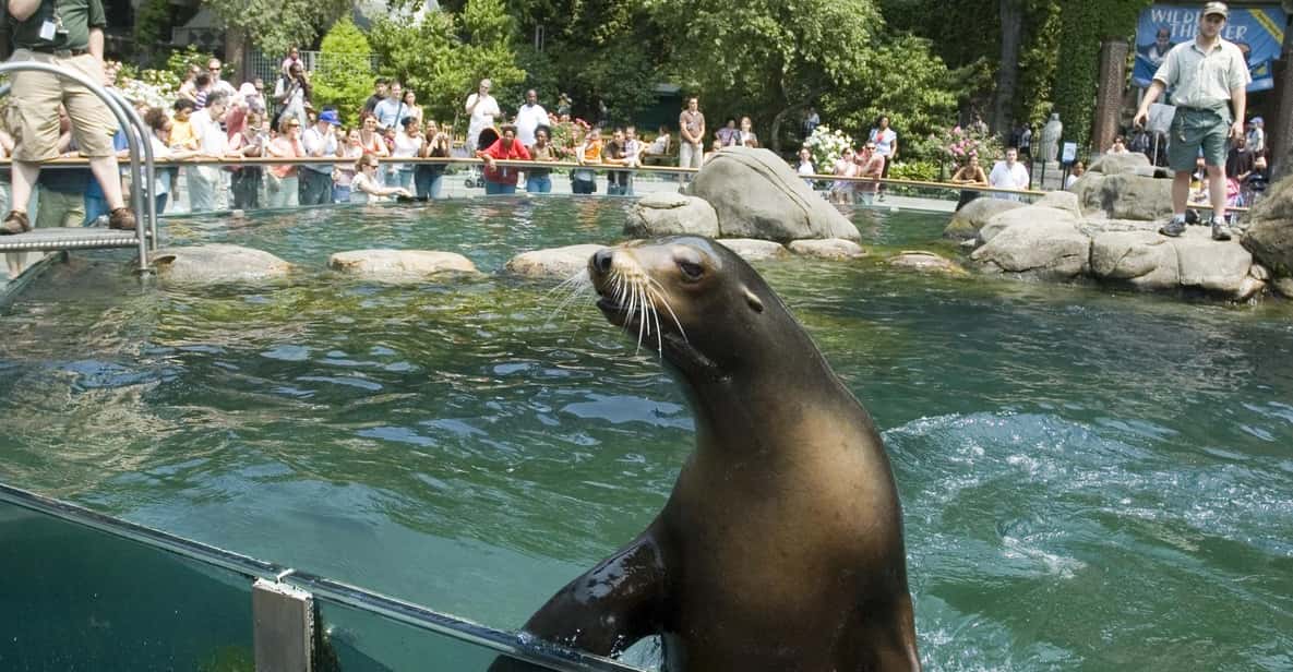 NYC: Central Park Zoo Entry Ticket & Manhattan Walking Tour - City Hall, court houses, Five Points, and the Brooklyn Bridge idea