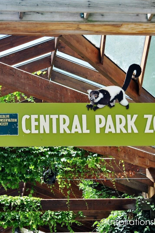 NYC: Central Park Zoo Entry Ticket & Manhattan Walking Tour - Central Park Zoo in about two hours: snow leopards, sea lions, and birds