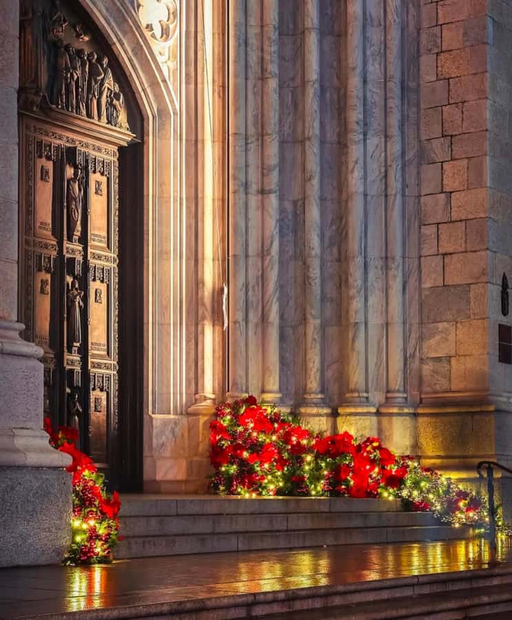 NYC: Christmas Holiday Guided Walking Tour with Dessert - Fifth Avenue glow: luxury storefronts with context