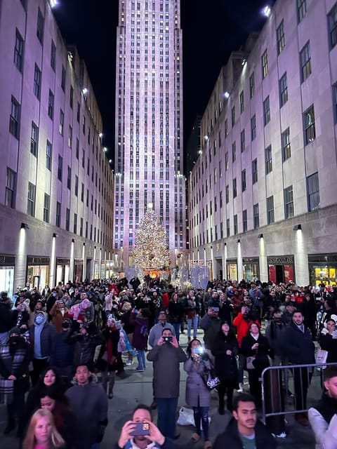 NYC: Christmas Lights Horse Carriage Ride - Key things to know before you go