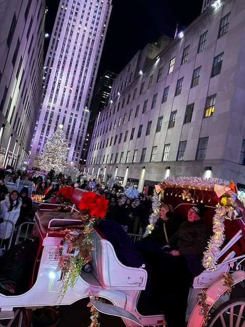 NYC: Christmas Lights Horse Carriage Ride - A 45-Minute Holiday Light Loop From Central Park’s 59th & 7th