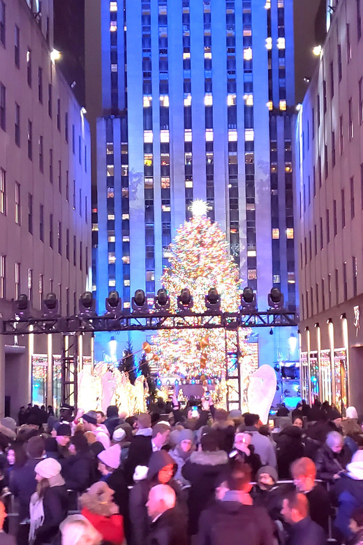 NYC: Christmas Lights Horse Carriage Ride - Horse Comfort, Driver Photos, and Blankets: The Extras That Change Your Night