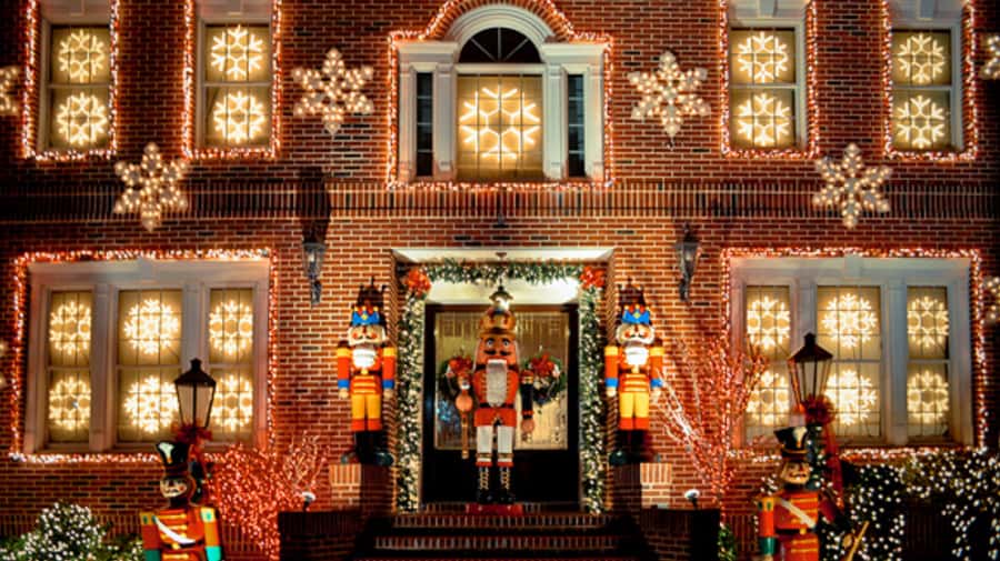 NYC: Christmas Lights Tour and Dyker Heights - Price and comfort: does $49 feel fair for this 4-hour plan?
