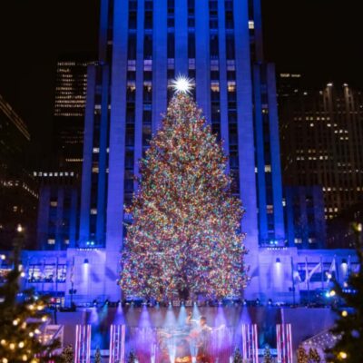 NYC: Christmas Lights Tour in Midtown Manhattan - Broadway Theater District Christmas: Majestic, New Amsterdam, Winter Garden