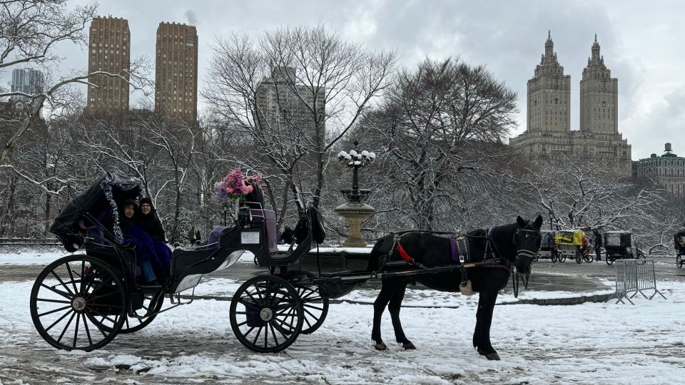 NYC: Empire State Horses Carriage Ride in Central Park - Key highlights at a glance