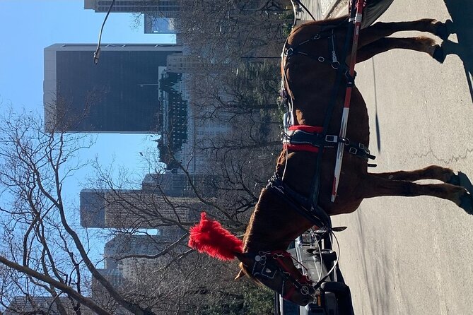 NYC Empire State Horses Carriage Ride in Central Park (45 Mins) - Key highlights that make this ride click
