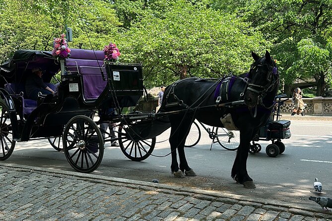 NYC Empire State Horses Carriage Ride in Central Park (45 Mins) - Why this Central Park carriage feels like a shortcut (in a good way)
