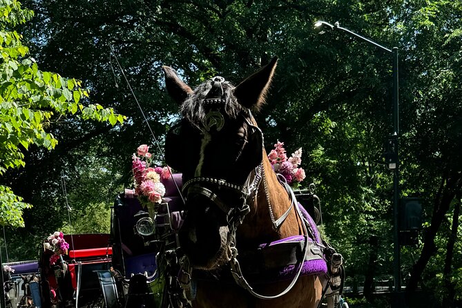NYC Empire State Horses Carriage Ride in Central Park (45 Mins) - Blankets and photo stops: the comfort and the memories