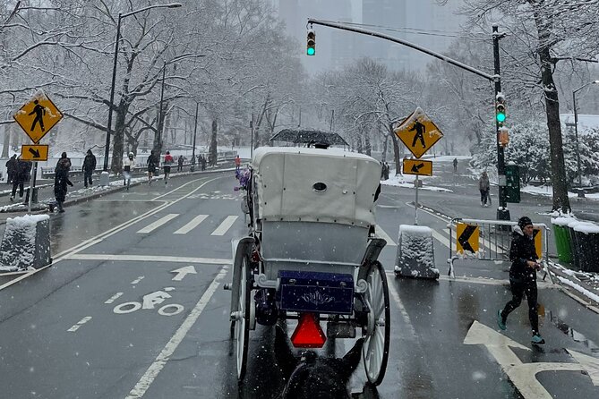 NYC Empire State Horses Carriage Ride in Central Park (45 Mins) - What the 45 minutes covers: from Wollman Rink to Tavern on the Green