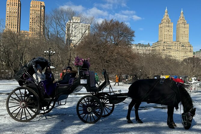 NYC Empire State Horses Carriage Ride in Central Park (45 Mins) - How the narration and movie locations change what you notice